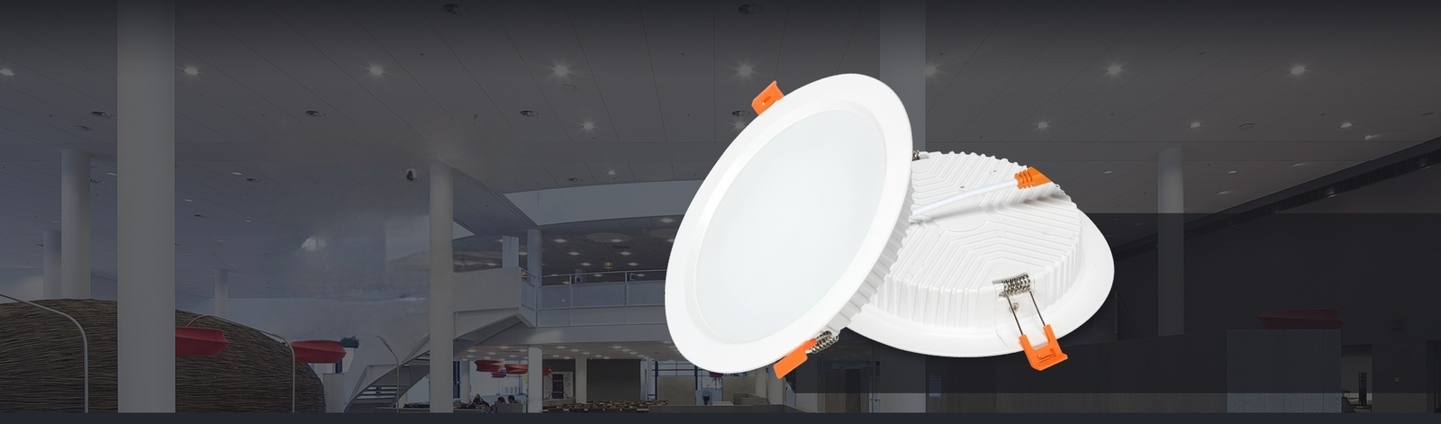 H255de768353a48de8e1dec646e6450d3s-3